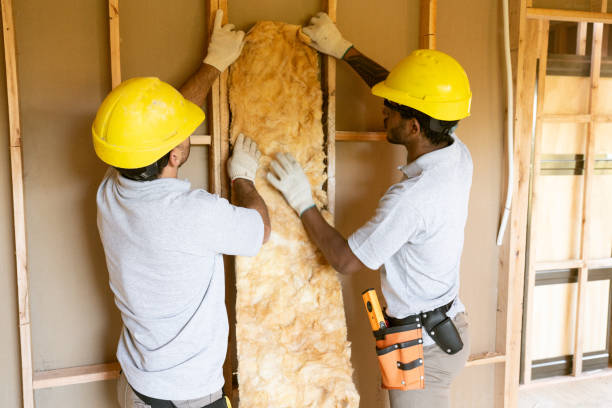 Best Eco-Friendly or Green Insulation Solutions  in Macon, IL